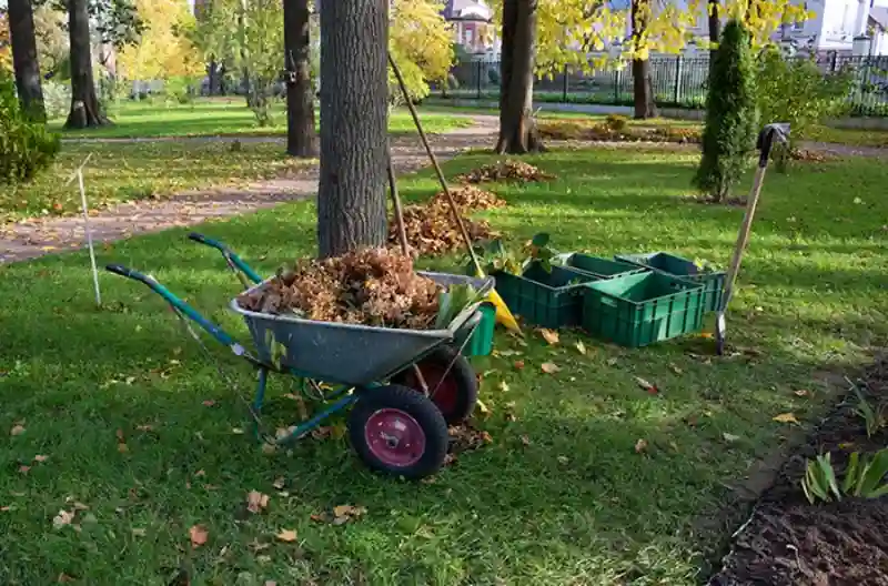 How To Clean A Backyard in Fairfield, CA