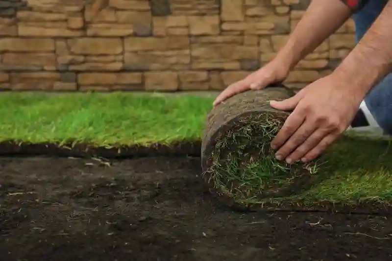 How long after installing sod can you walk on it in Fairfield, CA 