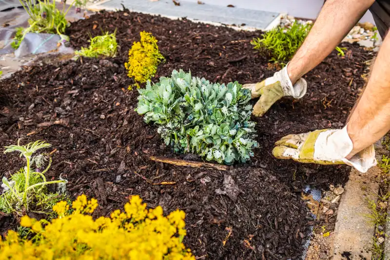 How long does mulch last in Fairfield, CA 