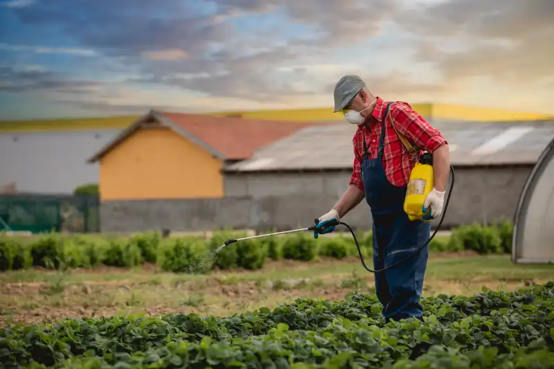 How often should you fertilize your lawn in Fairfield, CA 