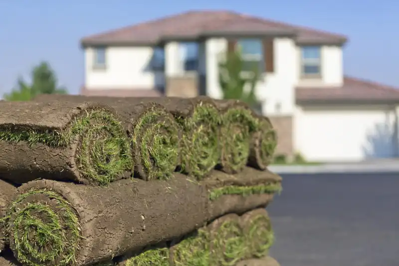 How to lay sod over existing lawn in Fairfield, CA