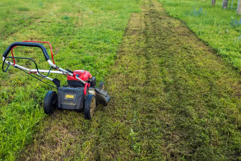 How to mow a lawn in El Fairfield, CA 