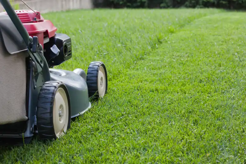 Professional Lawn Mowing Services in Fairfield, CA 