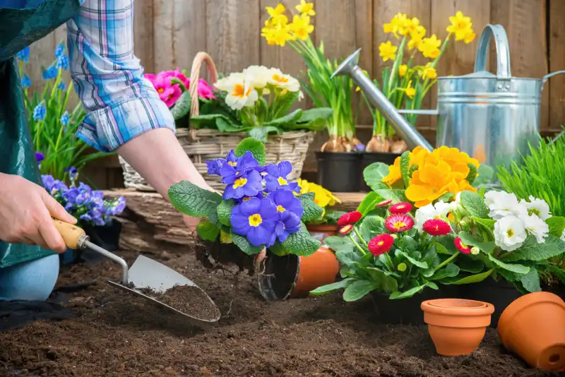 Professional Mulching Service in Fairfield, CA 