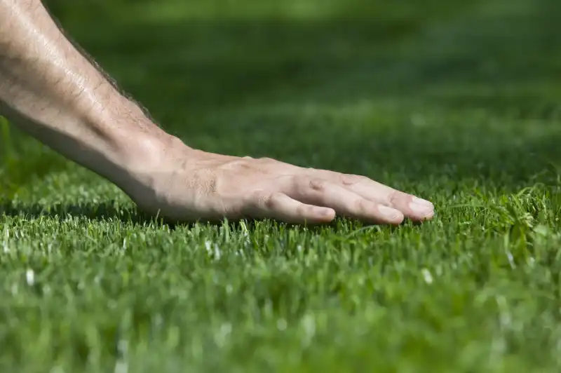 Professional Sod Installation Service in Fairfield, CA 