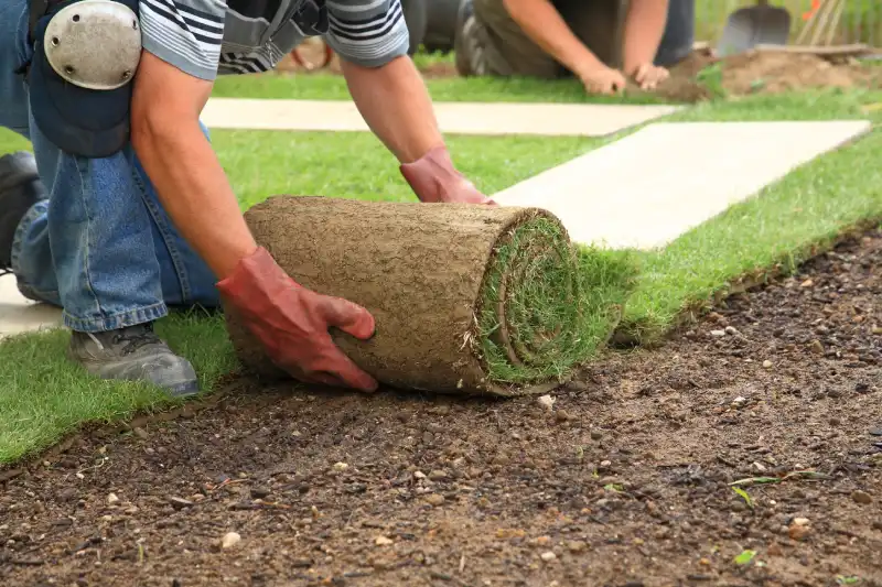 Outstanding Sod Installation Service in Fairfield, CA 