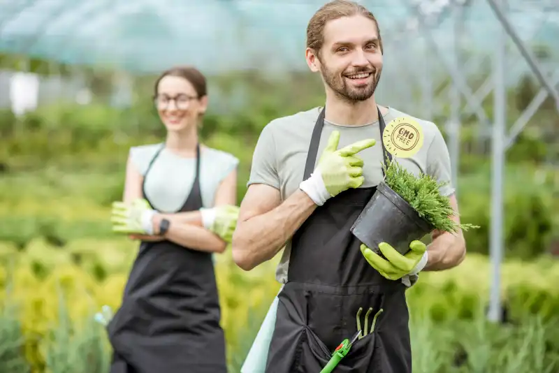 When is the best time to fertilize your lawn in Fairfield, CA 