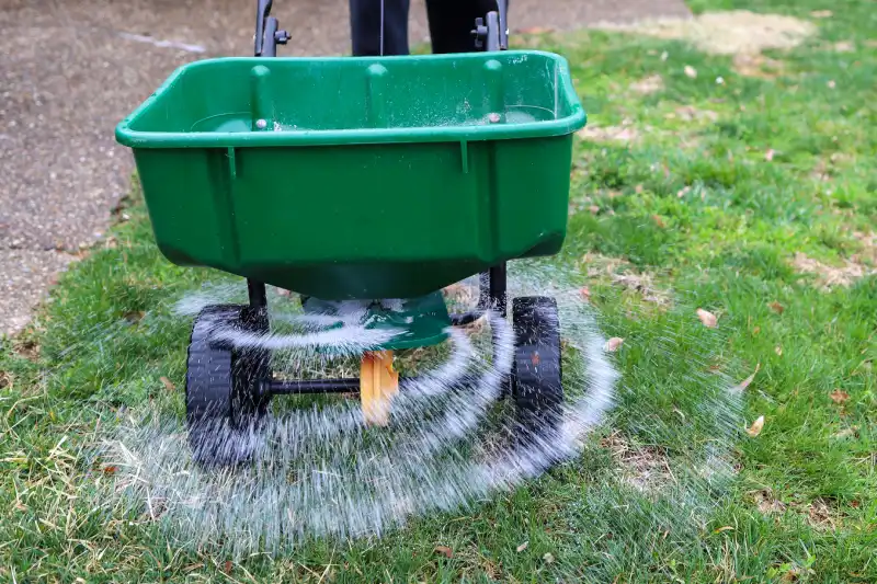 When is the best time to fertilize your lawn in Fairfield, CA 