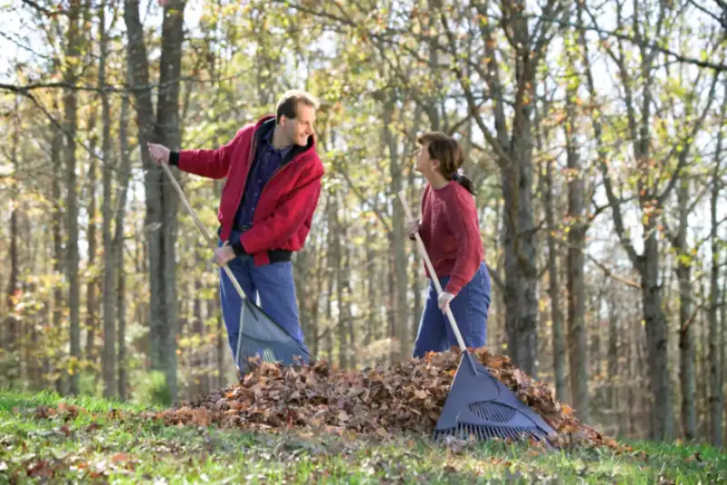 Professional Yard cleanup Service in Fairfield, CA 