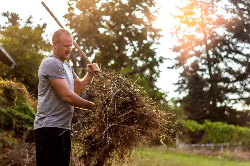 Reliable Yard cleanup Service in El Fairfield, CA 